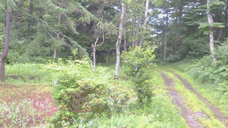 長野県菅平高原 ゆたか山荘 坂上 2026/07/17 05:30