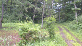 長野県菅平高原 ゆたか山荘 坂上 2026/07/17 06:00