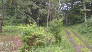 長野県菅平高原 ゆたか山荘 坂上 2026/07/17 06:15