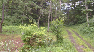 長野県菅平高原 ゆたか山荘 坂上 2026/07/17 06:30