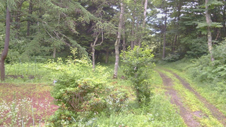 長野県菅平高原 ゆたか山荘 坂上 2026/07/17 06:45