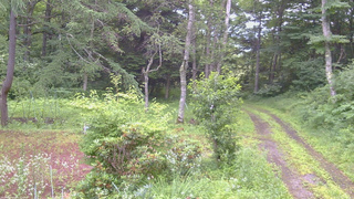長野県菅平高原 ゆたか山荘 坂上 2026/07/17 07:30