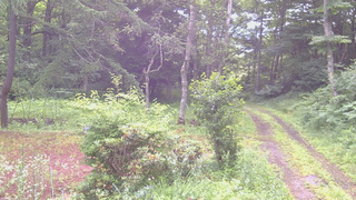 長野県菅平高原 ゆたか山荘 坂上 2026/07/17 08:00