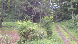 長野県菅平高原 ゆたか山荘 坂上 2026/07/17 08:15