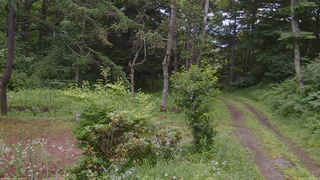 長野県菅平高原 ゆたか山荘 坂上 2026/07/17 08:30