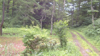 長野県菅平高原 ゆたか山荘 坂上 2026/07/17 09:00