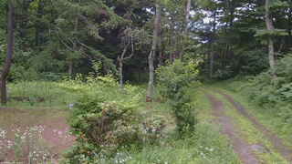 長野県菅平高原 ゆたか山荘 坂上 2026/07/17 09:15