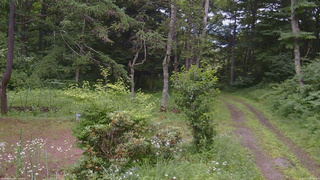 長野県菅平高原 ゆたか山荘 坂上 2026/07/17 09:30