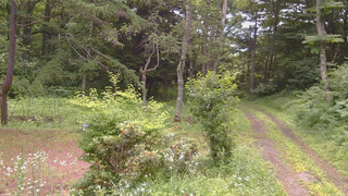 長野県菅平高原 ゆたか山荘 坂上 2026/07/17 10:15