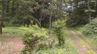 長野県菅平高原 ゆたか山荘 坂上 2026/07/17 10:30