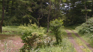 長野県菅平高原 ゆたか山荘 坂上 2026/07/17 10:45
