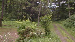 長野県菅平高原 ゆたか山荘 坂上 2026/07/17 11:15