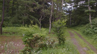 長野県菅平高原 ゆたか山荘 坂上 2026/07/17 11:30