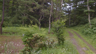 長野県菅平高原 ゆたか山荘 坂上 2026/07/17 11:45