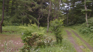 長野県菅平高原 ゆたか山荘 坂上 2026/07/17 12:15