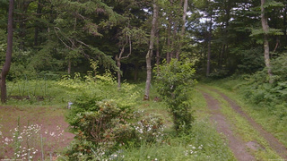 長野県菅平高原 ゆたか山荘 坂上 2026/07/17 12:30