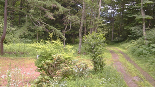 長野県菅平高原 ゆたか山荘 坂上 2026/07/17 12:45