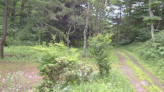 長野県菅平高原 ゆたか山荘 坂上 2026/07/17 13:00