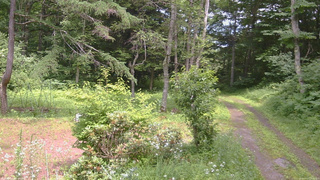 長野県菅平高原 ゆたか山荘 坂上 2026/07/17 13:15