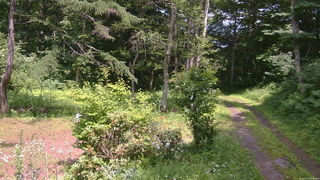 長野県菅平高原 ゆたか山荘 坂上 2026/07/17 13:30