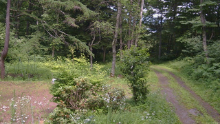 長野県菅平高原 ゆたか山荘 坂上 2026/07/17 13:45