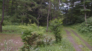 長野県菅平高原 ゆたか山荘 坂上 2026/07/17 14:00