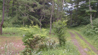 長野県菅平高原 ゆたか山荘 坂上 2026/07/17 14:15
