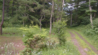 長野県菅平高原 ゆたか山荘 坂上 2026/07/17 14:30