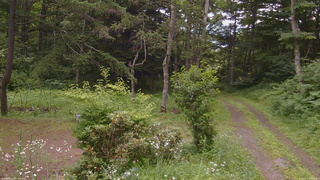 長野県菅平高原 ゆたか山荘 坂上 2026/07/17 14:45