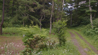 長野県菅平高原 ゆたか山荘 坂上 2026/07/17 15:00