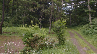 長野県菅平高原 ゆたか山荘 坂上 2026/07/17 15:15