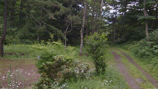 長野県菅平高原 ゆたか山荘 坂上 2026/07/17 15:30