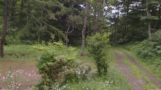 長野県菅平高原 ゆたか山荘 坂上 2026/07/17 15:45