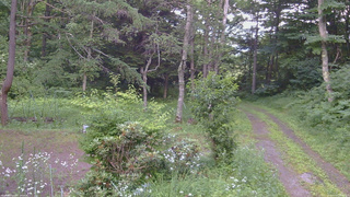 長野県菅平高原 ゆたか山荘 坂上 2026/07/17 16:00