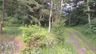 長野県菅平高原 ゆたか山荘 坂上 2026/07/17 16:15