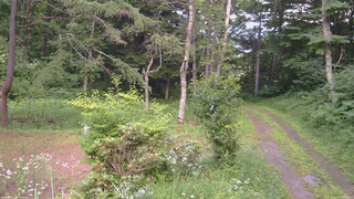 長野県菅平高原 ゆたか山荘 坂上 2026/07/17 16:30