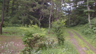 長野県菅平高原 ゆたか山荘 坂上 2026/07/17 16:45