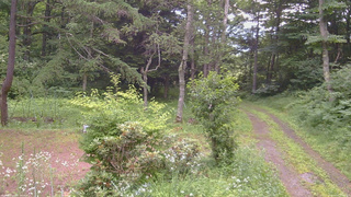 長野県菅平高原 ゆたか山荘 坂上 2026/07/17 17:00