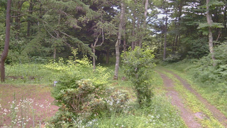 長野県菅平高原 ゆたか山荘 坂上 2026/07/17 17:15