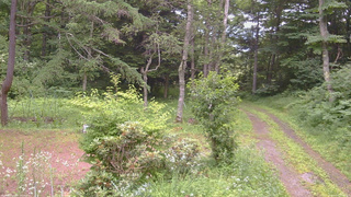 長野県菅平高原 ゆたか山荘 坂上 2026/07/17 17:30