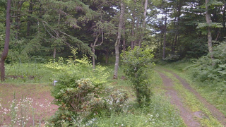 長野県菅平高原 ゆたか山荘 坂上 2026/07/17 17:45