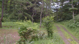 長野県菅平高原 ゆたか山荘 坂上 2026/07/17 18:00