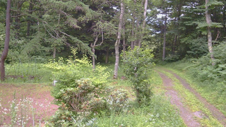 長野県菅平高原 ゆたか山荘 坂上 2026/07/17 18:15