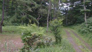 長野県菅平高原 ゆたか山荘 坂上 2026/07/17 18:30