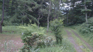 長野県菅平高原 ゆたか山荘 坂上 2026/07/17 18:45
