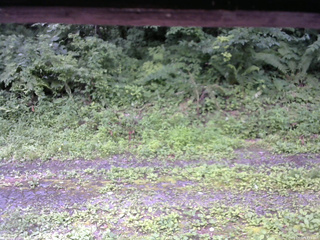 長野県菅平高原 ゆたか山荘 東側(坂下) 2026/07/18 11:15