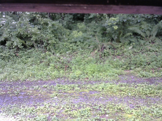 長野県菅平高原 ゆたか山荘 東側(坂下) 2026/07/18 11:30