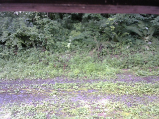 長野県菅平高原 ゆたか山荘 東側(坂下) 2026/07/18 11:45