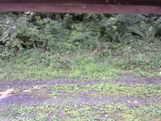 長野県菅平高原 ゆたか山荘 東側(坂下) 2026/07/18 13:00