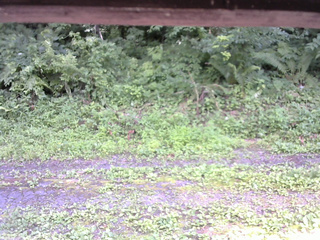 長野県菅平高原 ゆたか山荘 東側(坂下) 2026/07/18 14:15